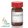 Amphotericin B from Streptomyces sp A2411-1G SigmaAldrich