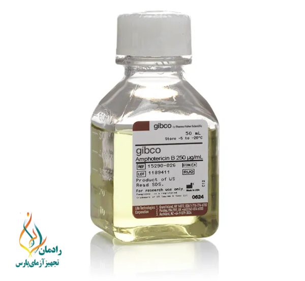Amphotericin B Solution 100X Asagene 100ml